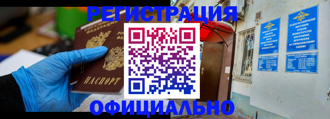 прописка в Купино